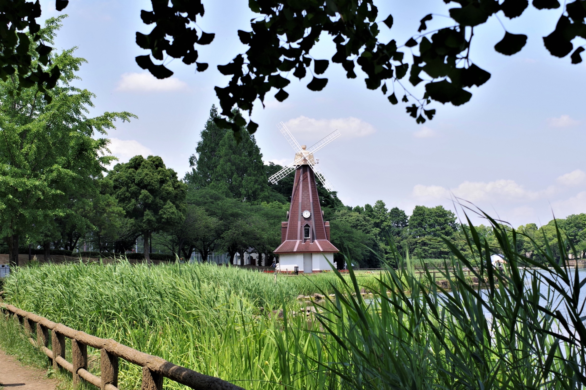 浮間舟渡公園フリーマーケット会場の写真